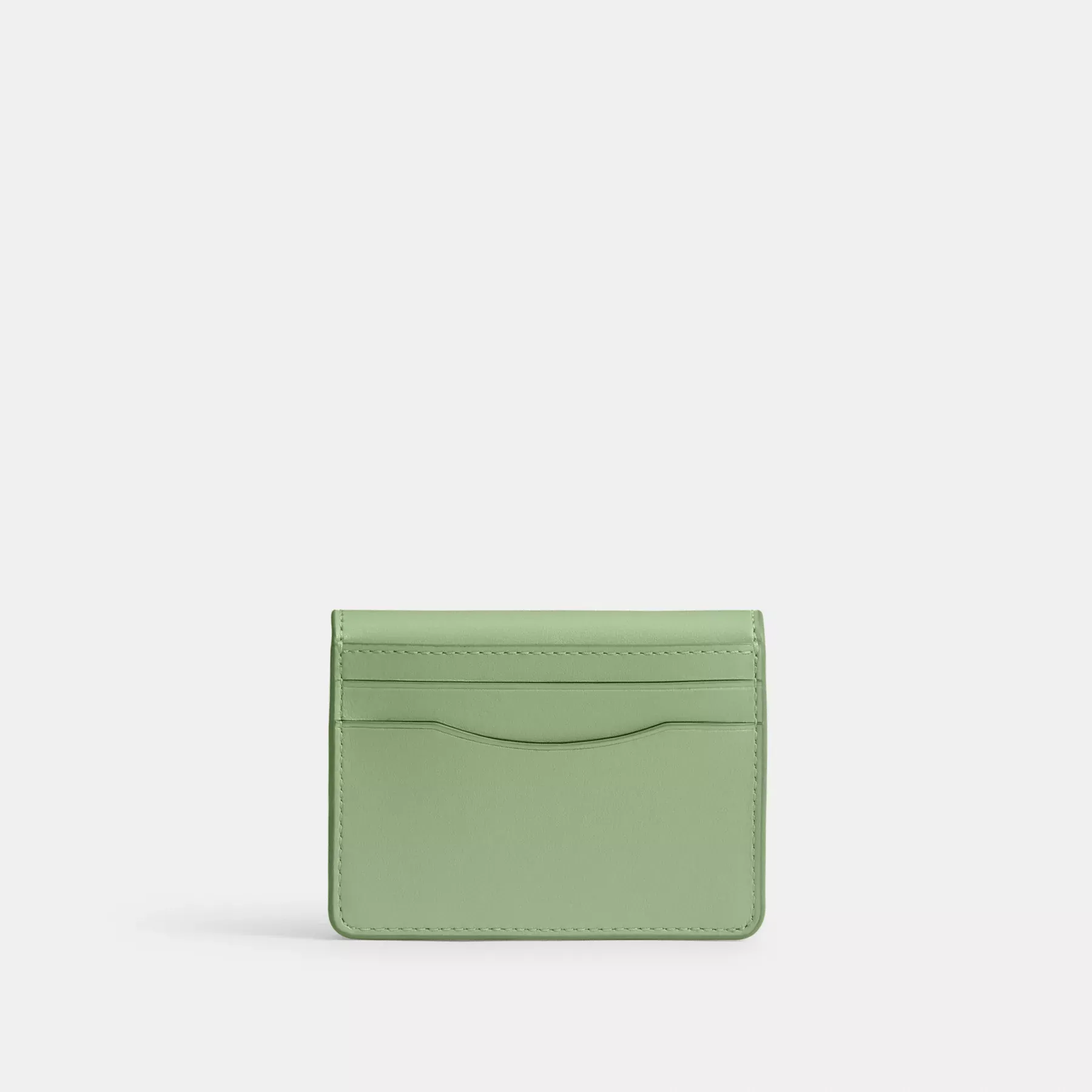 Bandit Card Case Pale Pistachio