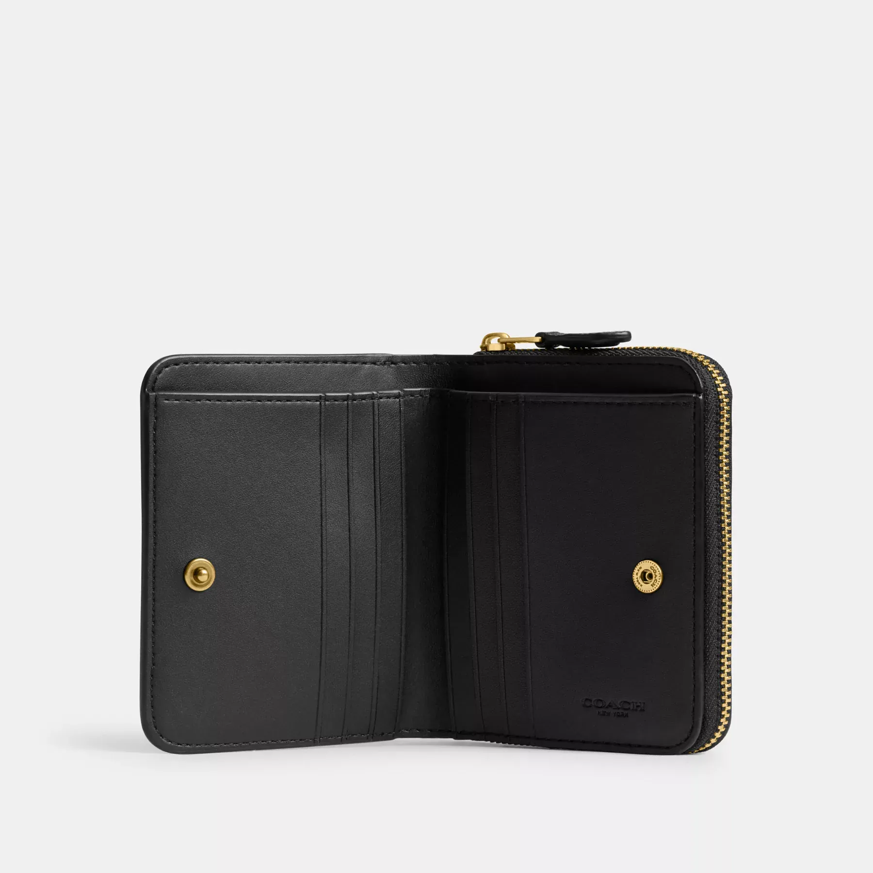 Billfold Wallet With Rexy Print Black Multi