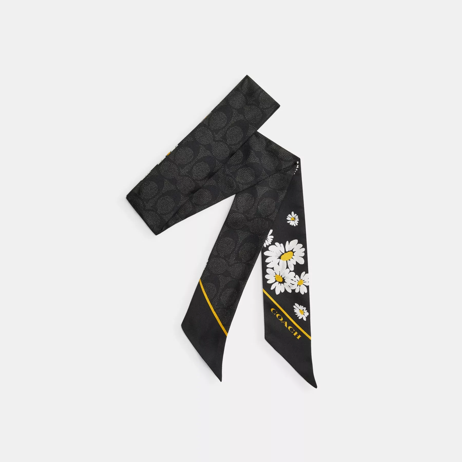 Signature Daisy Cluster Print Silk Skinny Scarf Black/Chalk